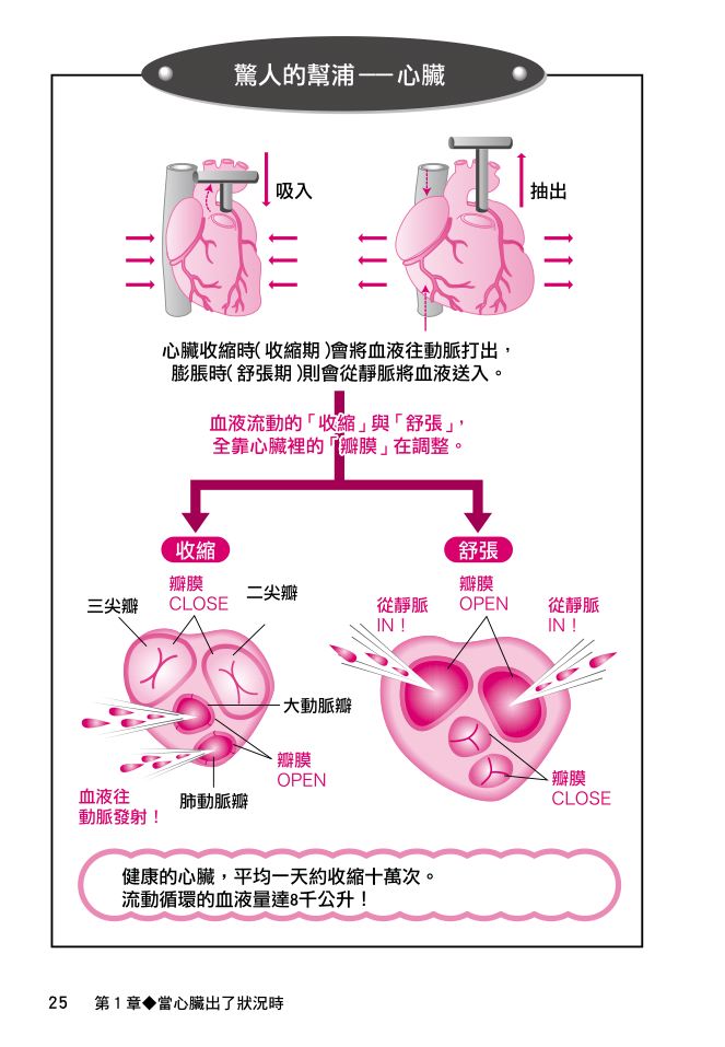內頁 7