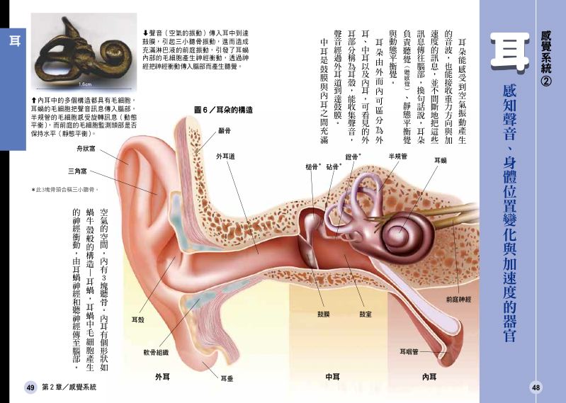 內頁 7