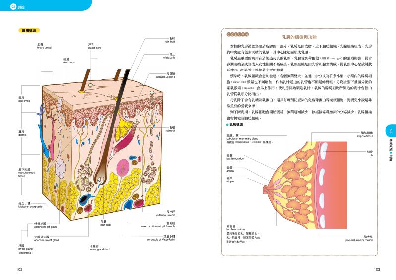 內頁 6