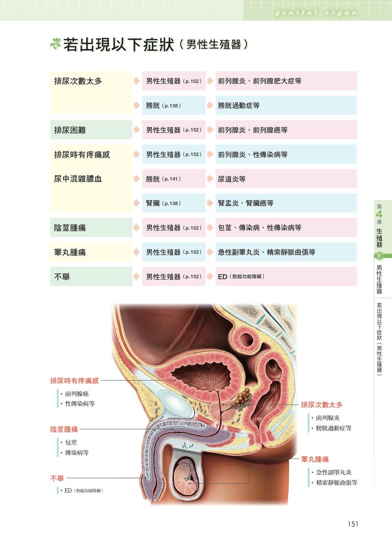 內頁 10