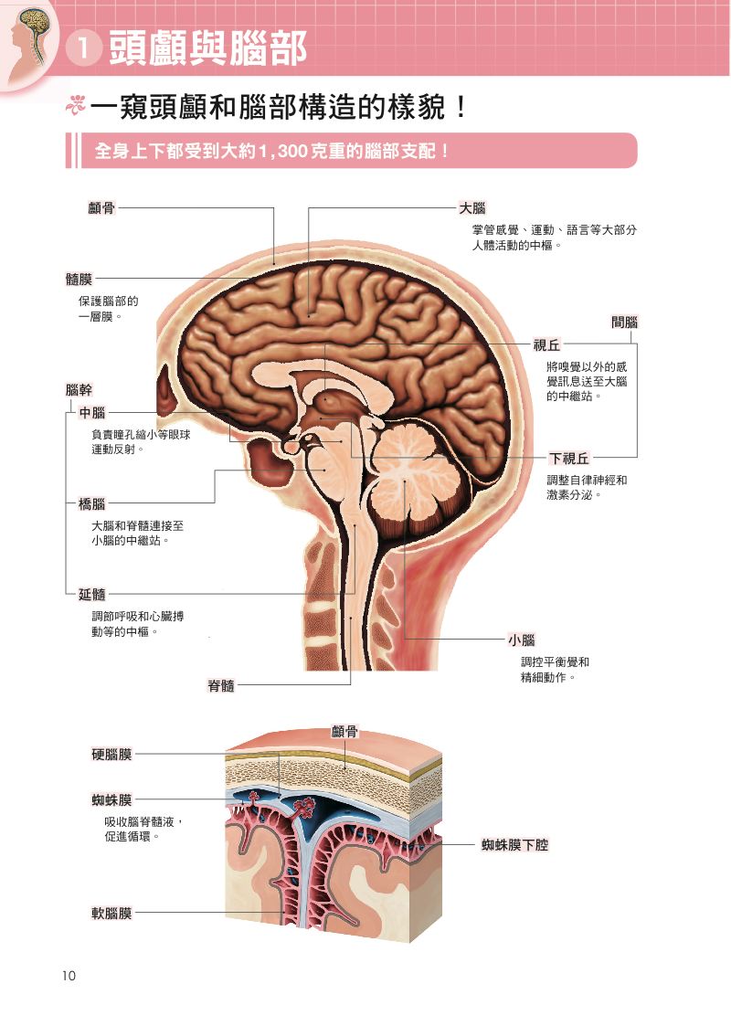 內頁 2