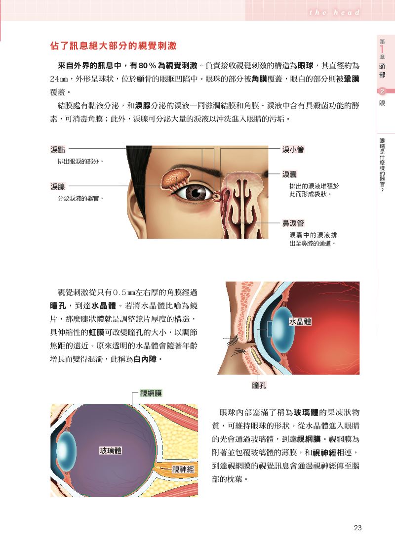 內頁 4