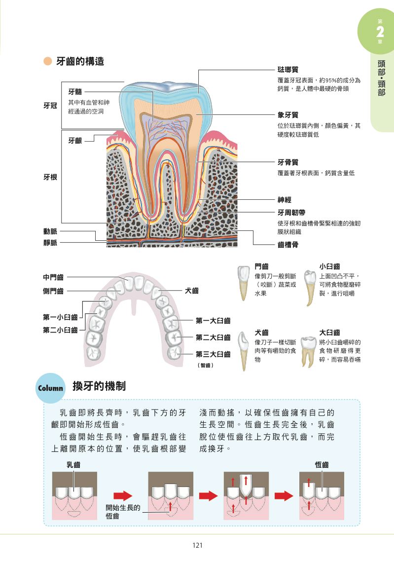 內頁 10