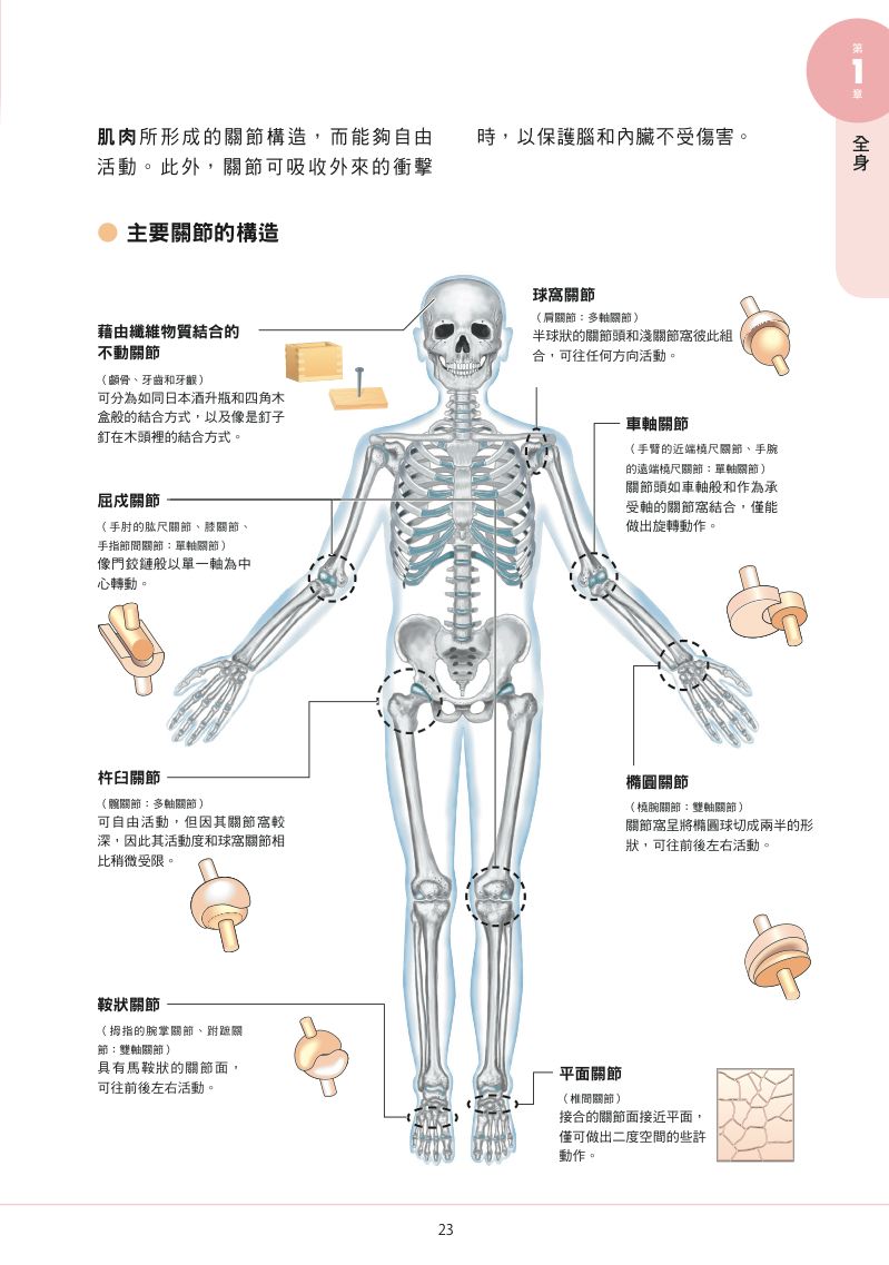 內頁 3