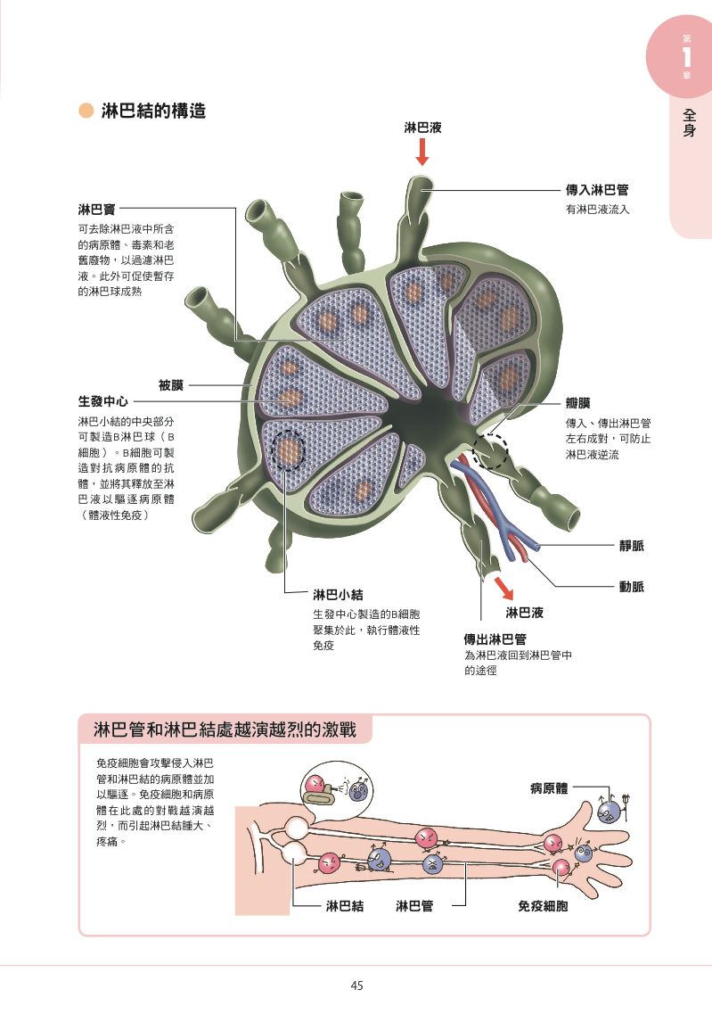 內頁 6