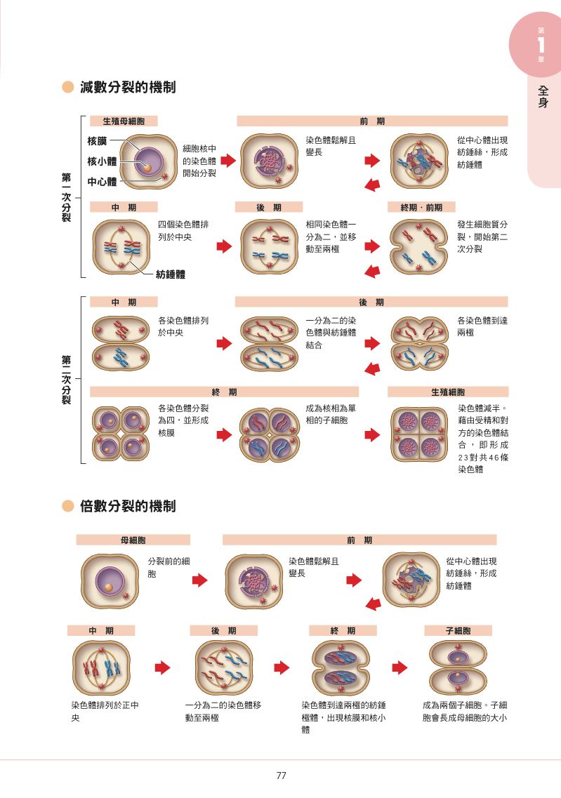 內頁 8