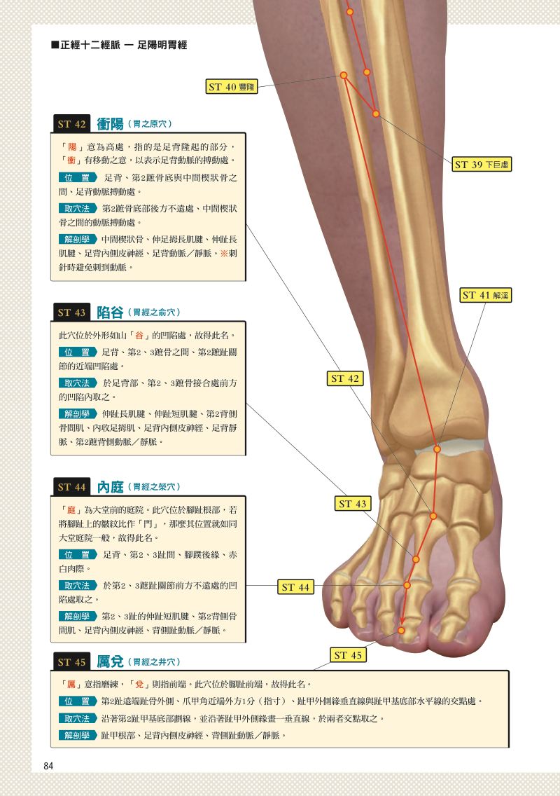 內頁 7