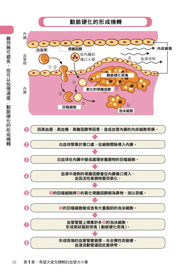 內頁 4