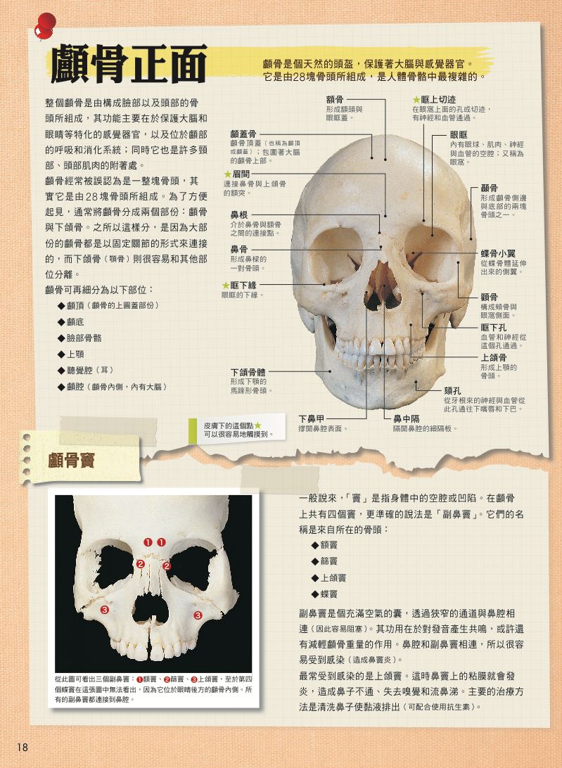 內頁 2
