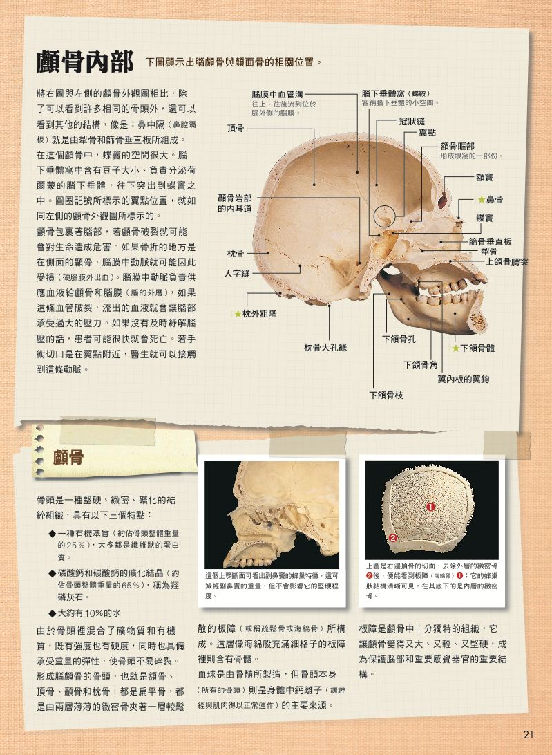 內頁 5