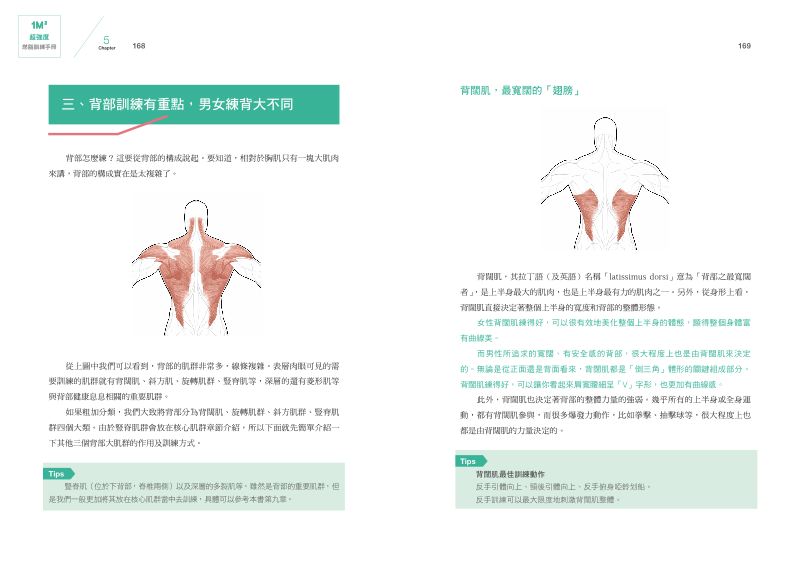內頁 8