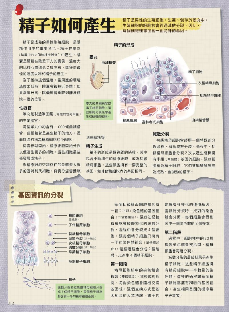 內頁 10