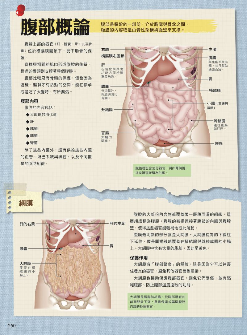 內頁 2