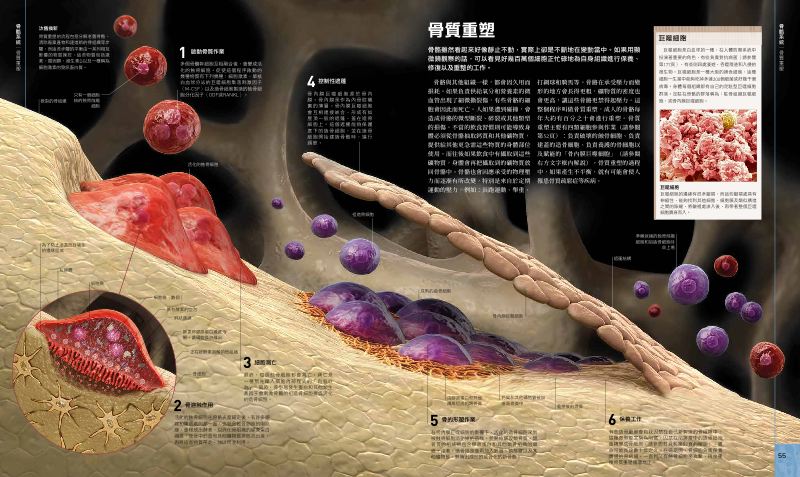 內頁 5
