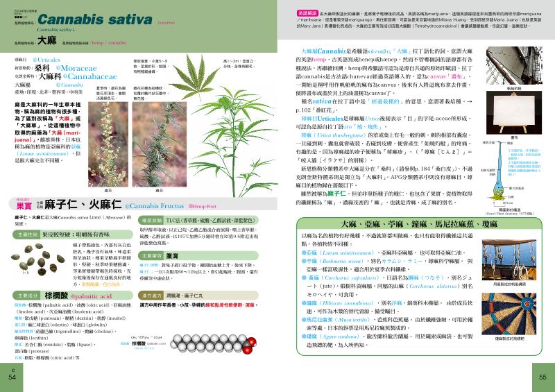 內頁 3
