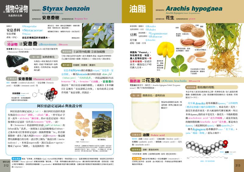 內頁 9