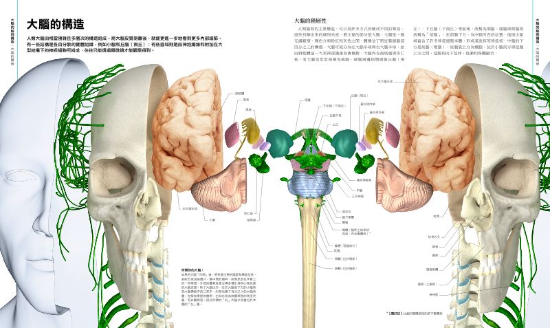 內頁 5