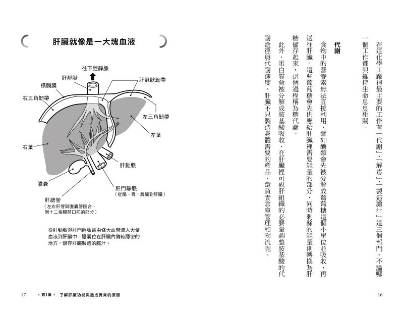 內頁 2