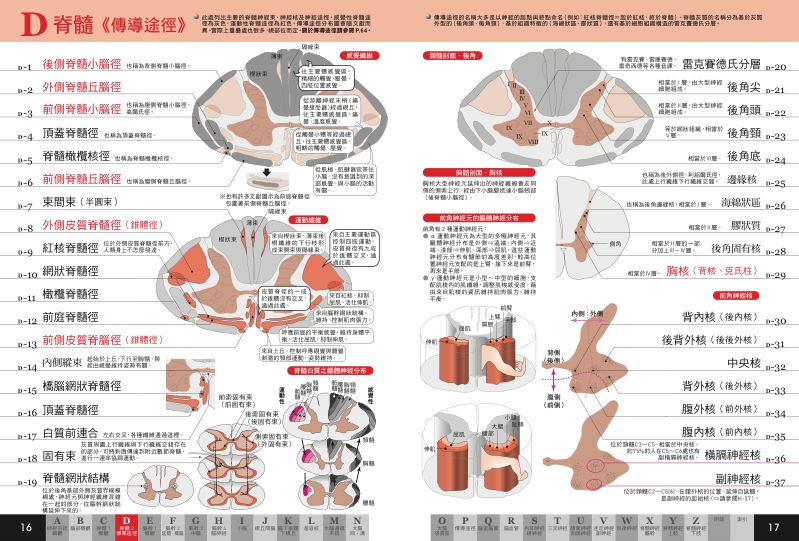 內頁 4