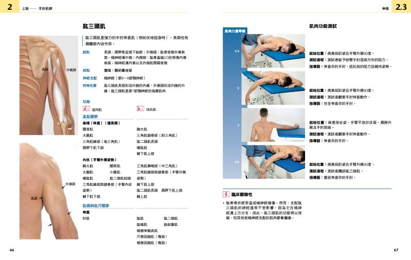 內頁 4