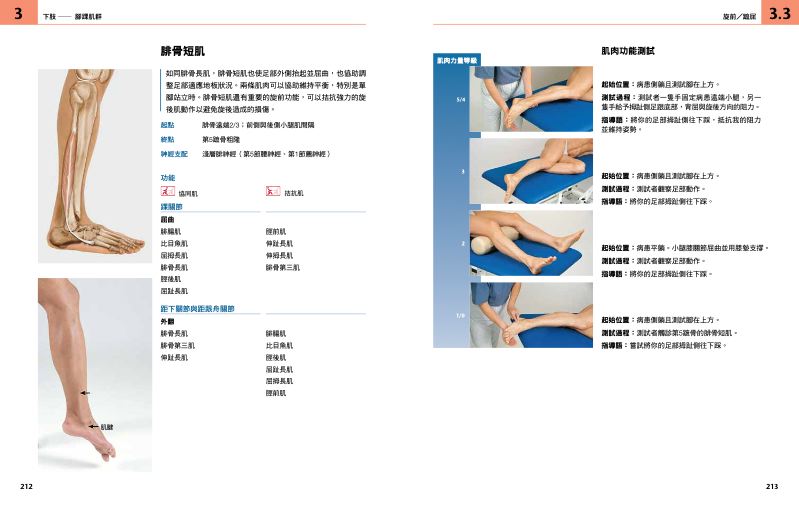 內頁 8