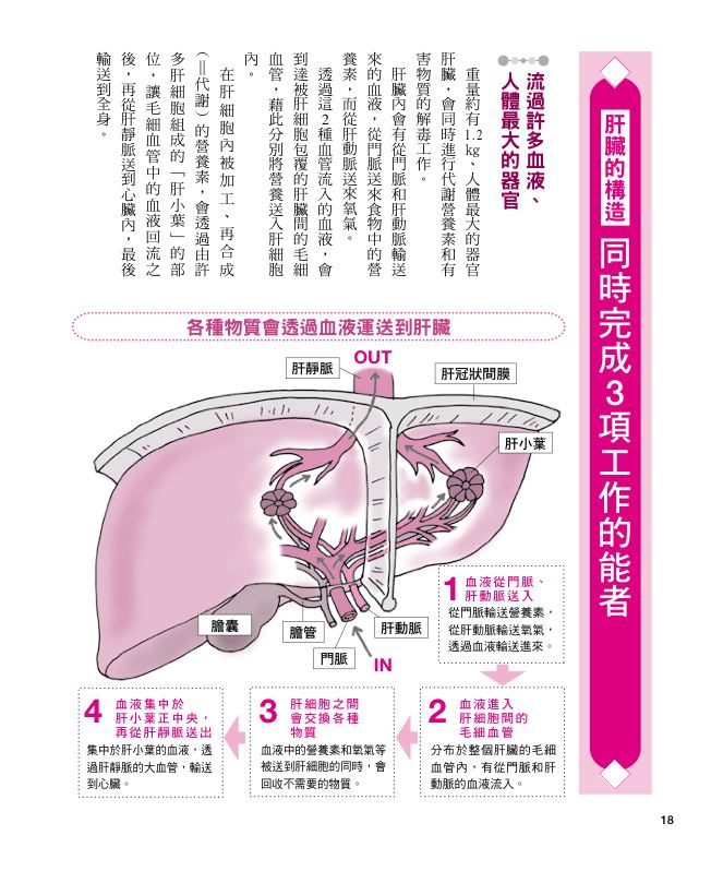 內頁 4