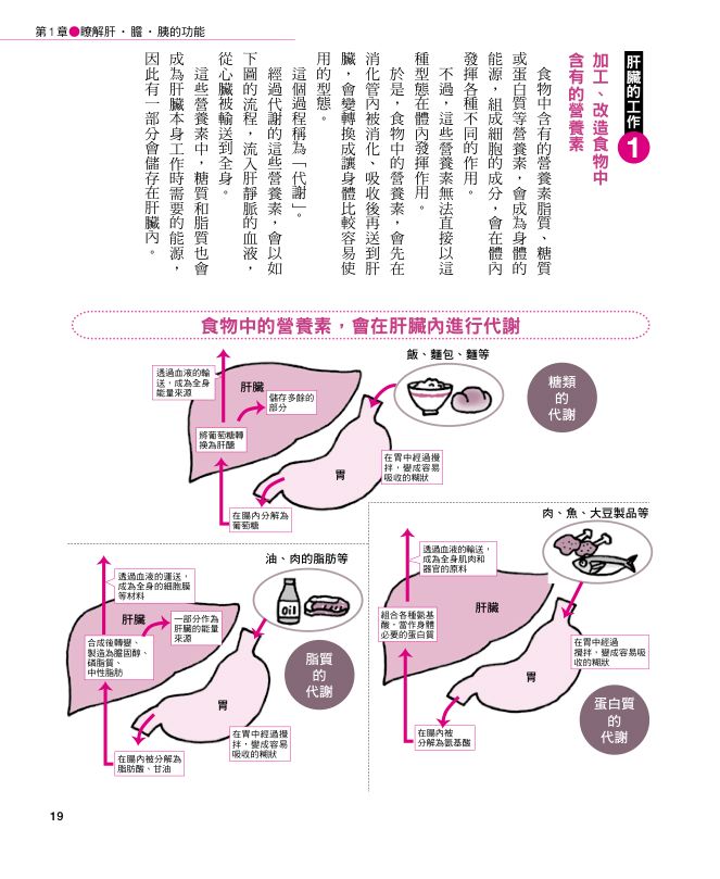 內頁 5