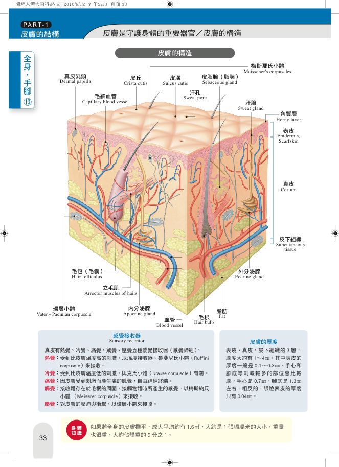 內頁 7