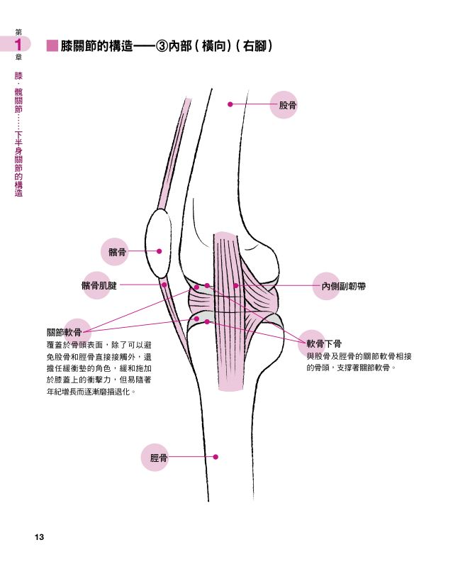 內頁 5