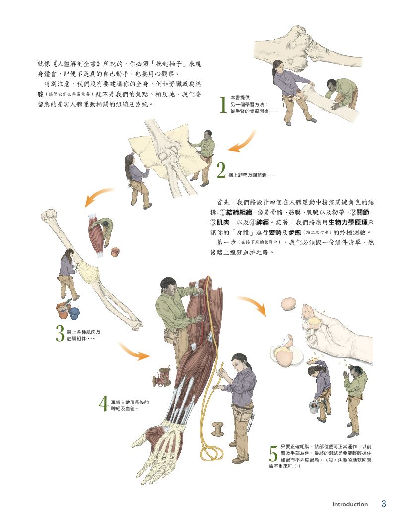 內頁 3