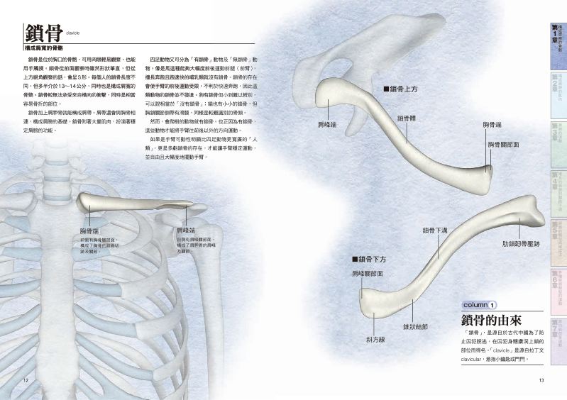 內頁 3