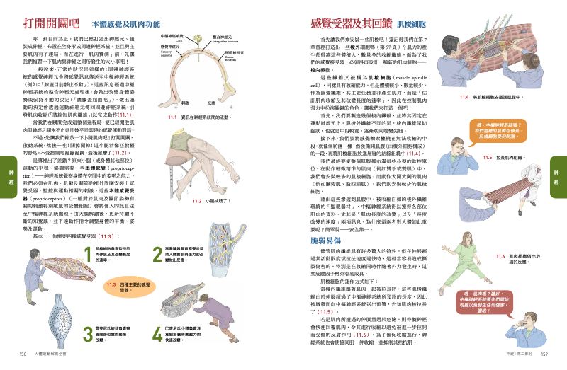 內頁 8