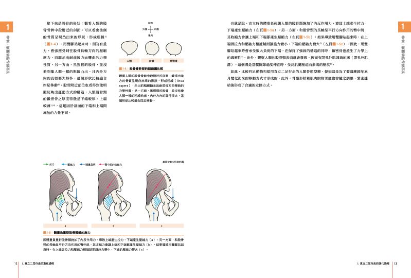 內頁 3