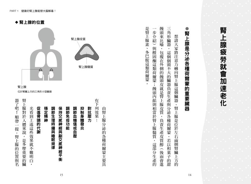 內頁 4