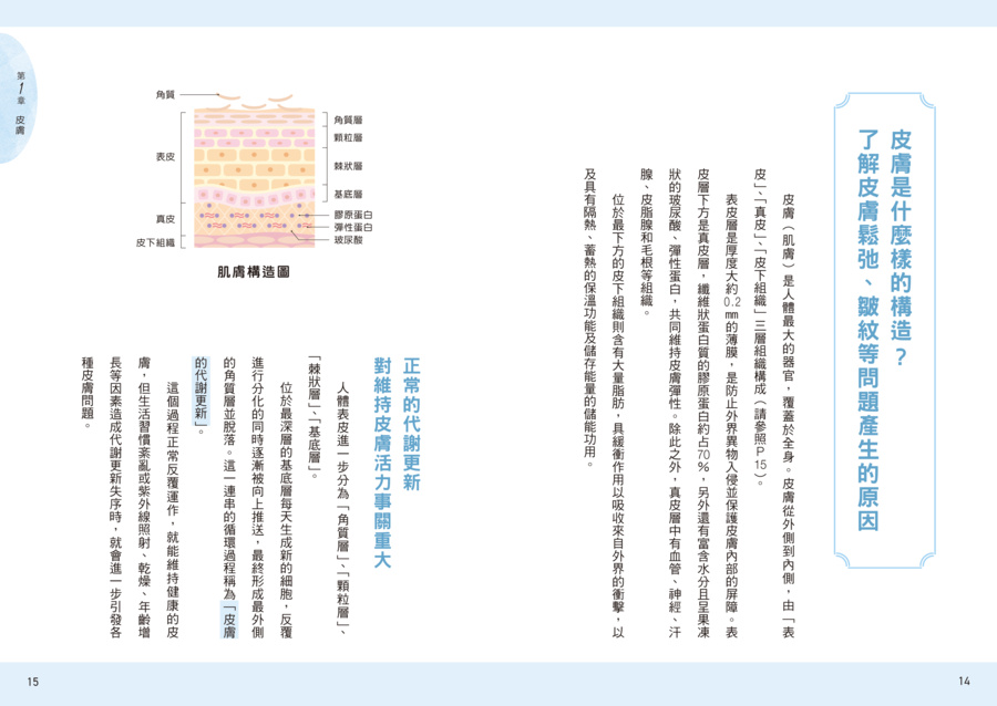 內頁 2