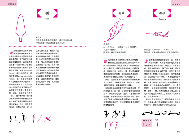 內頁 6