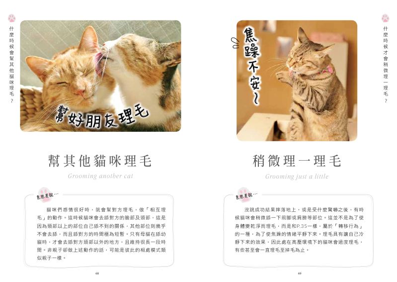 內頁 6