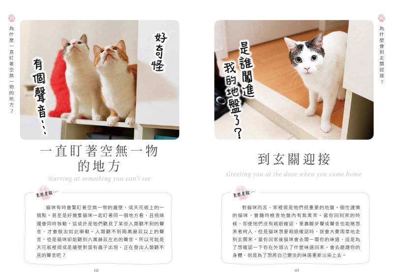 內頁 8