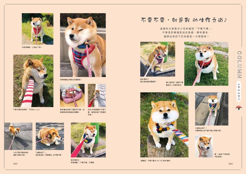 內頁 10