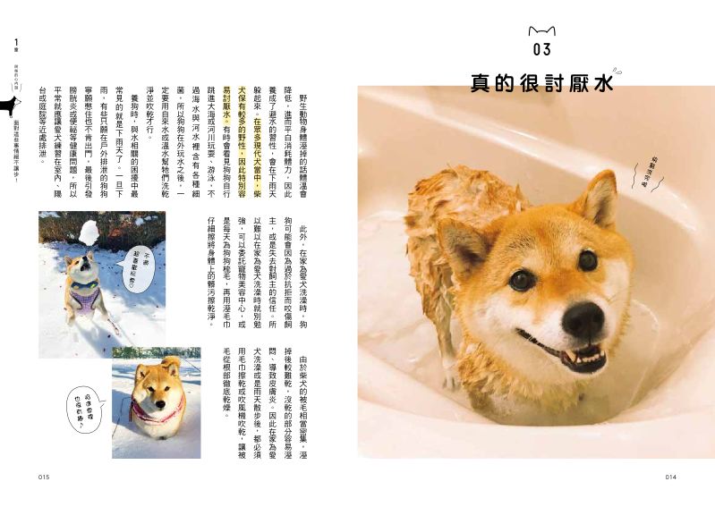 內頁 2