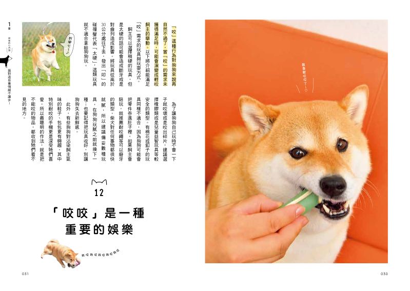內頁 4
