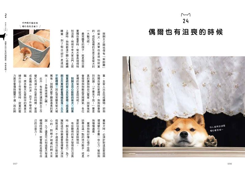 內頁 6