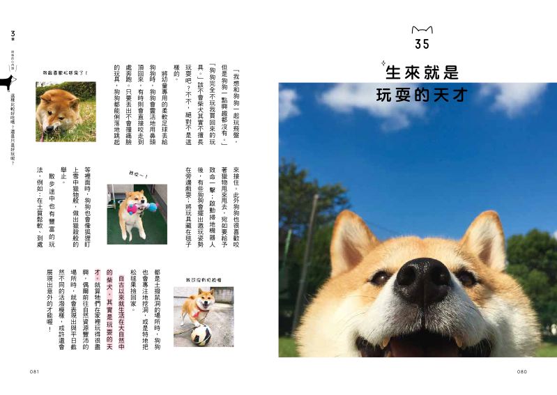 內頁 8