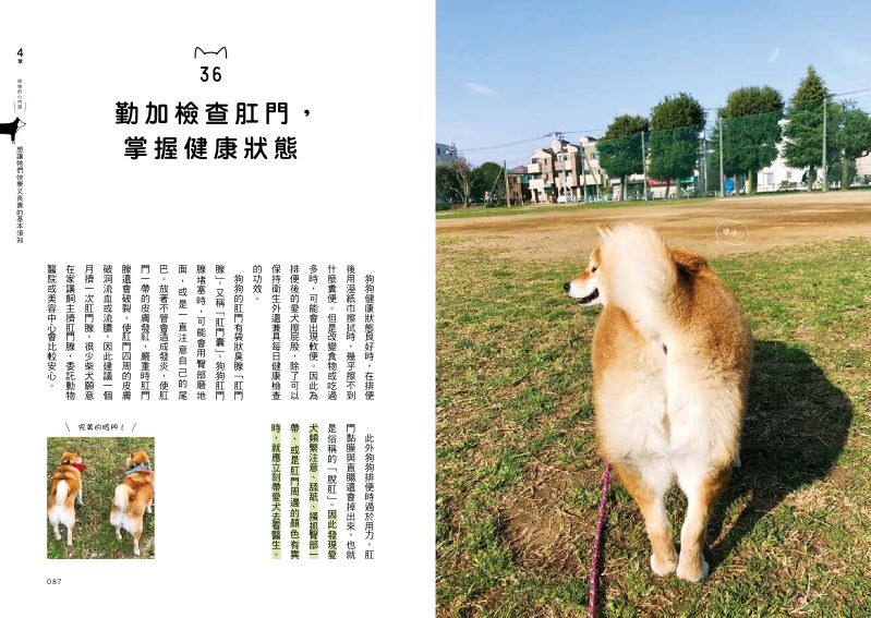 內頁 9