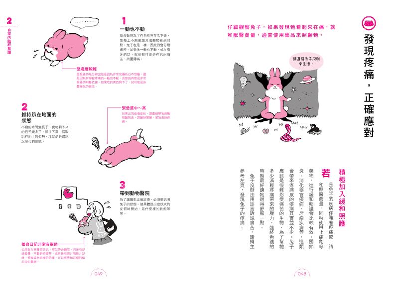 內頁 7