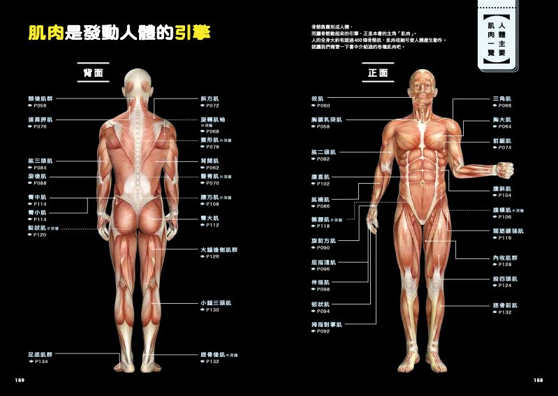 內頁 11