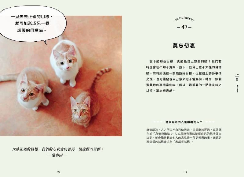 內頁 11