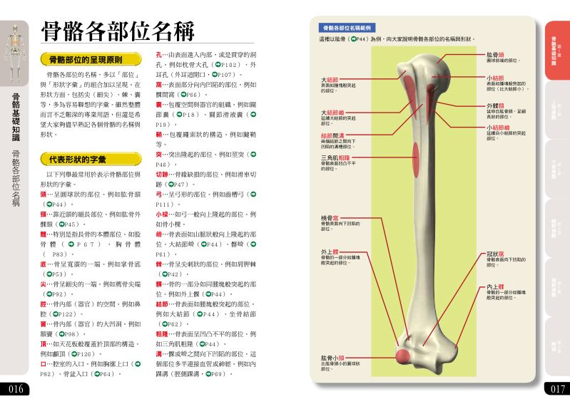 內頁 3