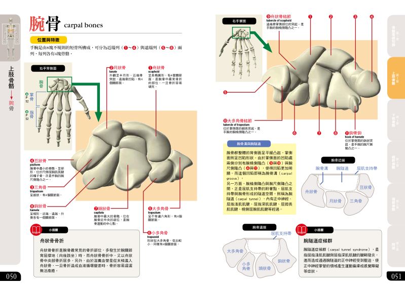 內頁 6
