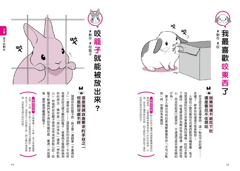 內頁 5